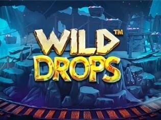 Wild Drops screenshot