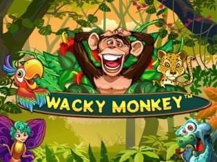 Wacky Monkey screenshot